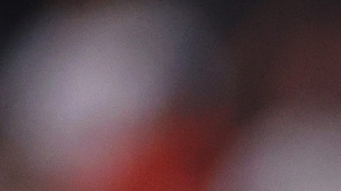 Los Bravos de Atlanta se alzaron con el título de la Serie Mundial luego de 26 años.