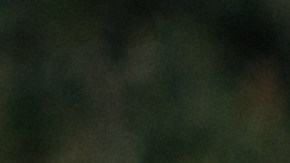 Tragedia enlutó al festival Astroworld.