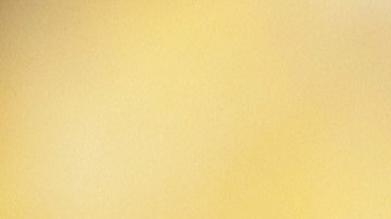 President Biden Pardons National Thanksgiving Turkeys