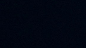 Solari aseguró que el equipo hizo una buena temporada.