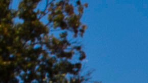 Pharmaceutical Giant Merck Announces It's Cutting 8,500 Jobs