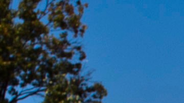 Pharmaceutical Giant Merck Announces It's Cutting 8,500 Jobs