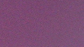 Hijo de Juan Gabriel es detenido en Florida por presunta violencia contra su madre