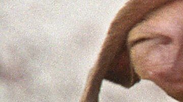 Compran perro por Facebook y pitbull mata a niño de 10 años en Reino Unido