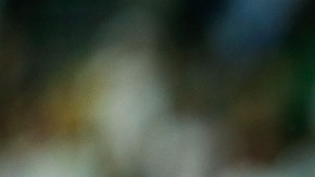 México se clasificó a Brasil 2014 en un repechaje contra Nueva Zelanda.