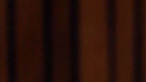 Oscar Pistorius en el juicio en su contra por asesinar a su novia en 2013 (Foto: Getty Images)