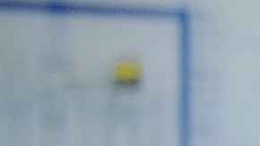 Escuela pide a todos sus alumnos usar faldas para "promover la igualdad" y se desata ola de reacciones