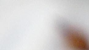 Ataque de escorpiones en Egipto deja tres muertos y decenas de hospitalizados