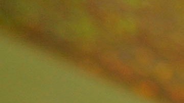 Tarjetas de regalo, una oportunidad ante la crisis de la cadena de suministro-GettyImages-56498992.jpg