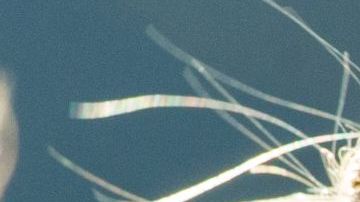 Marta, la hija de Amancio Ortega, asumirá en 2022 las riendas del imperio de Inditex.GettyImages-584836336.jpg