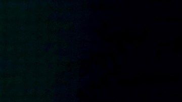 Foto de Pitbull con cabello se hace viral, ¿es verdadera o falsa?