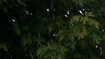 Biden decide sacar a las FARC de lista estadounidense de grupos terroristas