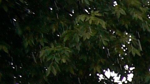 Biden decide sacar a las FARC de lista estadounidense de grupos terroristas