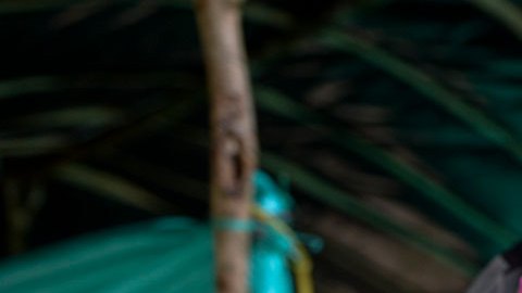 Fue en 1997 cuando EE.UU. consideró a las FARC como grupo terrorista.