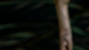 Fue en 1997 cuando EE.UU. consideró a las FARC como grupo terrorista.