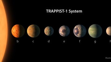 El sistema está compuesto por siete planetas y una estrella más pequeña y más fría que el Sol.