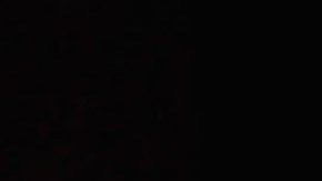 Joven embarazada muere apuñalada y se convierte en la víctima número 100 por feminicidio en Bolivia