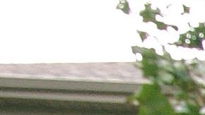 PARK RIDGE, IL - OCTOBER 04: A "For Sale By Owner" sign is posted in front of an existing single-family residence for sale October 4, 2006 in Park Ridge, Illinois. The slowing of home sales is projected to result in lower home prices in 2007, particularly in the Northeast, Florida and California, according a report released October 4. (Photo by Tim Boyle/Getty Images)