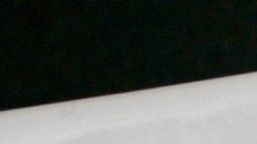 VIDEO: Diputado en México olvida apagar su cámara y trasmite mientras está en el baño