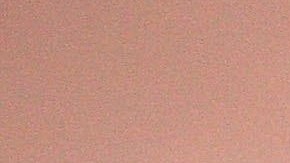 VIDEO: Dueña colocan altar a perrita muerta; cachorro se conmueve al mirar la foto