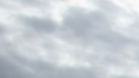 Todos los países, incluidos sus ciudadanos, tendrían que contribuir para combatir la crisis climática, según la Comisión Europea.