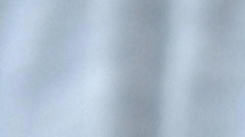 Cautiva en Turquía una gatita de cuatro orejas; cuenta de Instagram arrasa con sus fotos