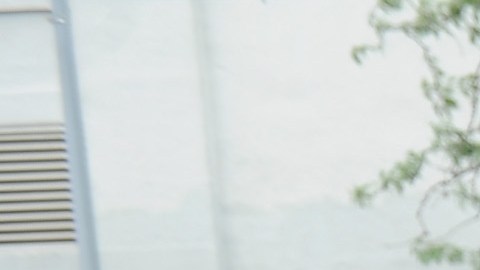 Carreras STEM