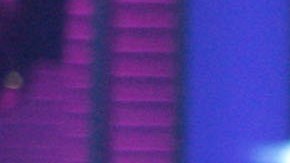 Los Tigres del Norte anuncian nueva gira; su primer concierto será en el Staples Center de Los Ángeles