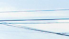 A worker cleans debris from a nursery displaying Christmas trees for sale in Los Angeles, California, on December 16, 2008. For stores across the country the holiday shopping season -- traditionally a big contributor to the overall economy -- promises grim tidings. With government figures showing national retail sales down 4.1 percent in October from the previous year, shops are slashing prices in a desperate search for customers. AFP PHOTO/Jewel SAMAD (Photo credit should read JEWEL SAMAD/AFP via Getty Images)