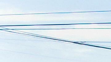 A worker cleans debris from a nursery displaying Christmas trees for sale in Los Angeles, California, on December 16, 2008. For stores across the country the holiday shopping season -- traditionally a big contributor to the overall economy -- promises grim tidings. With government figures showing national retail sales down 4.1 percent in October from the previous year, shops are slashing prices in a desperate search for customers. AFP PHOTO/Jewel SAMAD (Photo credit should read JEWEL SAMAD/AFP via Getty Images)