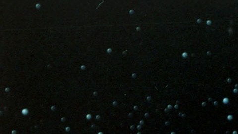 El DART es el primer sistema de protección planetaria de la Tierra en su historia.