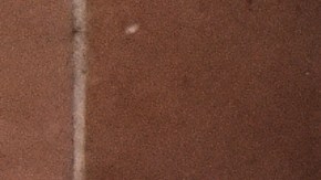 Los días previos a Acción de Gracias estarán llenos de sorpresas.