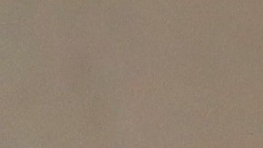 Agentes de ICE en arrestos.