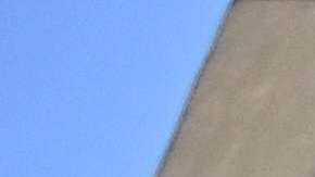 Ghislaine Maxwell, la cómplice de Epstein, dejó de bañarse en la cárcel para evitar las miradas de guardias espeluznantes