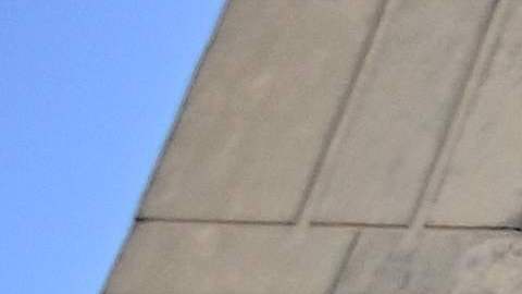 Ghislaine Maxwell, la cómplice de Epstein, dejó de bañarse en la cárcel para evitar las miradas de guardias espeluznantes
