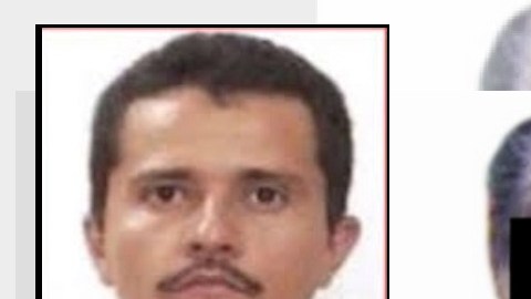 Héctor Pardo Valdovinos alias el Paisa o el Chapa.