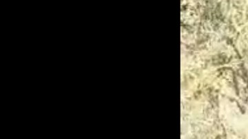 Hijo de la presidenta municipal de Santiago Jamiltepec, Cecilia Rivas Márquez en lugar del crimen.