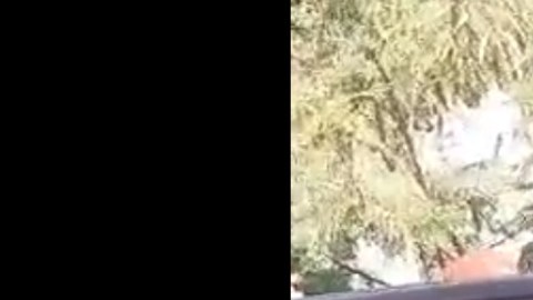 Hijo de la presidenta municipal de Santiago Jamiltepec, Cecilia Rivas Márquez en lugar del crimen.
