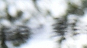 Hipopótamo de Pablo Escobar ataca y hiere de gravedad a pescador colombiano