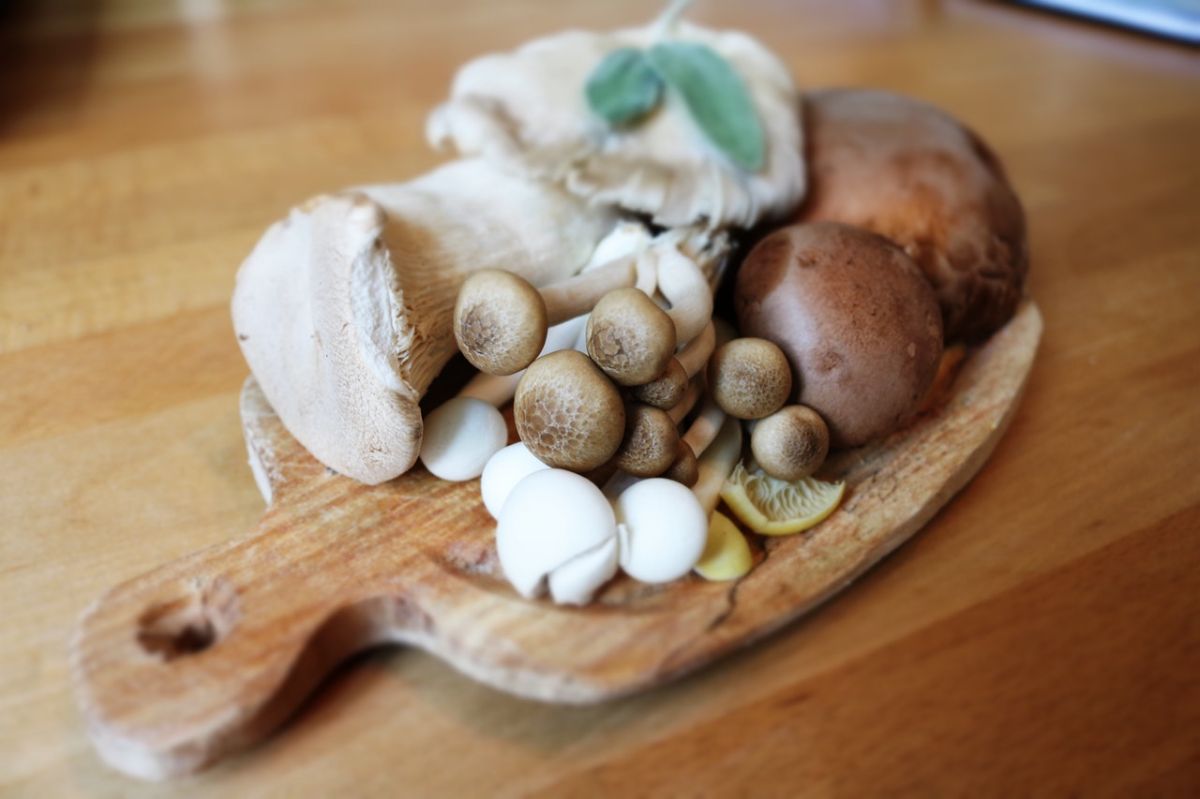Mushrooms May Reduce Depression Risk: New Study