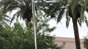 Lili Estefan, Oscar Petit y Raúl de Molina