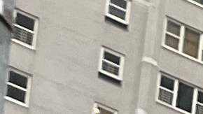 Activistas presiona a los demócratas para que aprueben una reforma migratoria.