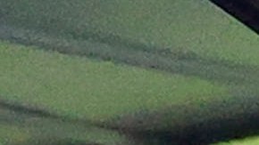 Santiago Baños, director deportivo de América, presencia un partido desde el palco.