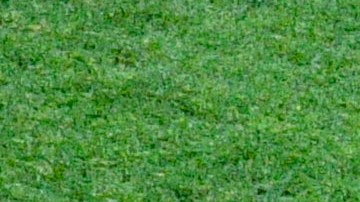 Uriel Antuna y Sebastián Córdova