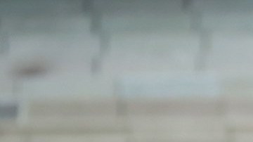 Cristian Battocchio ha sido un revulsivo en el esquema de Andrés Lillini en Pumas.