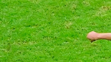 México tiene desde 1976 que no pierde contra Canadá en Eliminatorias.