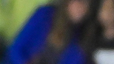Marcelo Flores