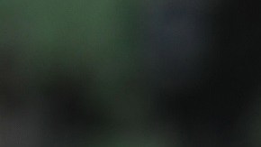 Almada no pudo ganar títulos en Santos Laguna.