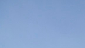 Tigres y León arrancarán con las semifinales el próximo miércoles.