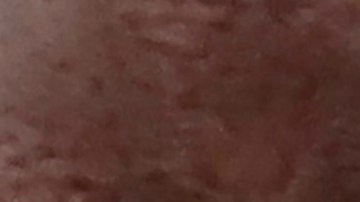 La travesía de Teddy, oso de peluche extraviado en Glacier Park, que regresó a los brazos de su dueña de 6 años casi un año después